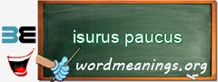 WordMeaning blackboard for isurus paucus